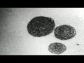 ORTZROKA - planets ORTZROKA - planets
