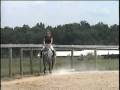 videos de Crocker Creek Farm - For Sale - Daphne