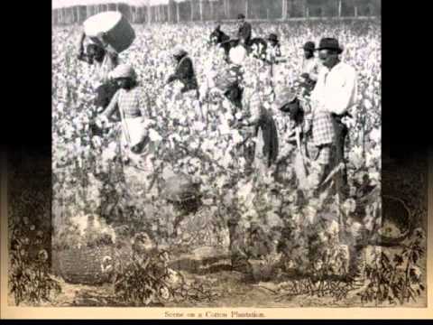 video-linktoworks-The cotton gin's effect on slavery - YouTube