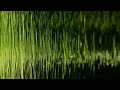 Edward Tufte: Wavefields Edward Tufte: Wavefields