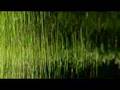 Edward Tufte: Wavefields