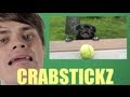 Internet Animal Impressions | Chris Kendall