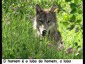 Video da musica de Pitty - o lobo