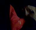 videos de afros ston ari!!!