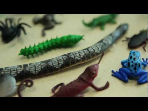 arttherapyblog - created by Jason Schuler - http://www.awakenedfilms.com/ Awakened Films - Creative Visual Storytelling™ New Jersey Video Production Company In recent years t...