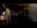 Qwerty Chuckles cleans his room Qwerty Chuckles cleans his room