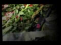 به ياد شهيد سرفراز جنبش مردم ايران حسين اكبري.wmv