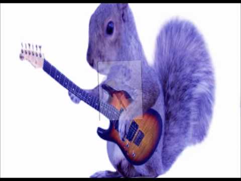 how to be a purple squirrel