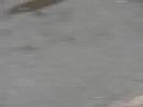 duathlon d'aire sur la lys
