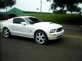 TALLAHASSEE CAR SHOW