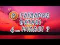 Γαιδαρος που μιλάει!