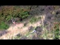 Gary Herbert Bow Hunt - Stag Neil Nelson