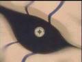 videos de gaara vs sasuke (step up) linkin park