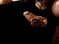SUNSTONE COPPER SCHILLER ROUGH