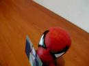 photograph-tasha-dishka-dino-.html
