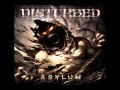 The Infection by Disturbed
