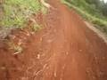 Treino motocross / velocross com CRF 230 F Nacional