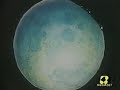 Sailor Moon AMV - Can\ Sailor Moon AMV - Can\
