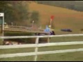 shetland racing