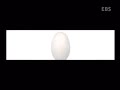 slow motion