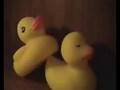 Rubber Duck Porn