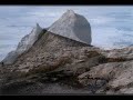 Plants of Mt Kinabalu