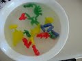 Growing Dinosaurs