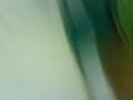 videos de BAILANDO EN LA ESCUELA xP