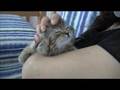 マッサージにとろける子猫♯2 / 〜kitty series〜 melting with massage #2 / 享受按摩的小猫 ♯2