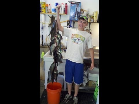 how to locate crappie
