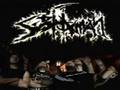 Subhuman - Estinto Naturale (lyrics interpretation)