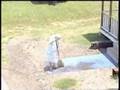A Timothy McVeigh Execution Roadtrip Part 02 of 04