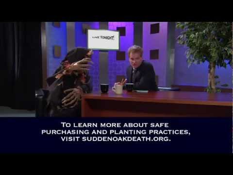 See video