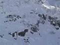 Snowbird 2004