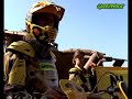 Los Jaguares de Greenpeace vuelven a la acción y detienen en Salta un desmonte.