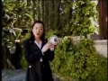 Feng Shui con Jenny Liu a $ 4.500. Subido por www.EnterArte.cl