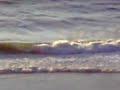 Sony Net-Sharing Cam Video