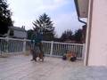 videos de slaom :S