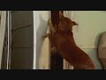 Taylor Patrick kissing, jealous noisy.wmv