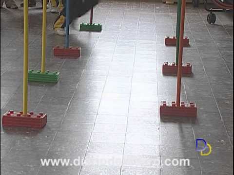 Imagen de previsualización de YouTube
