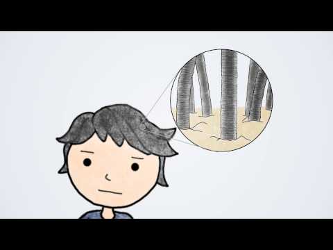 how to use harvest moon hair dye