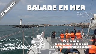Promenade en mer