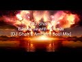 dj shah- barbecue with friends [dj shah's ambient soul mix]
