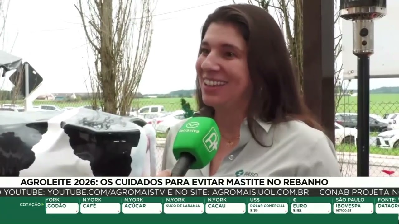 Agroleite 2026: os cuidados para evitar mastite no rebanho