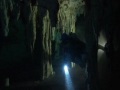Ver Video
