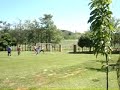 Criz�o chuta na trave 30/11