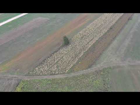 Народна скупштина усвојила више закона, међу којима су и Закон о органској производњи и Закон о службеним контролама