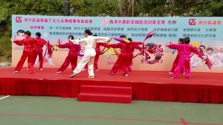 2017灣仔區太極匯粹,和弟子表演集體刀術