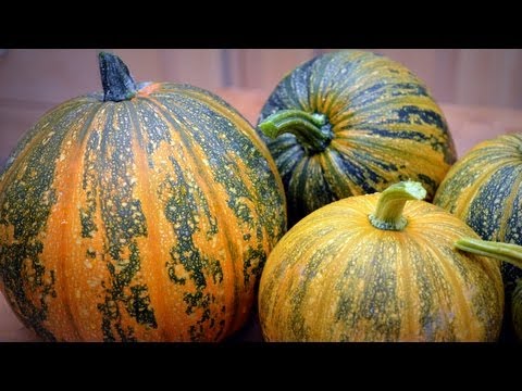 how to harvest seeds from a pumpkin