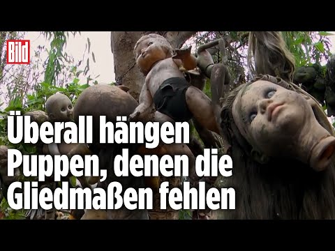 Die mexikanische Puppeninsel: die gruseligste Insel ...